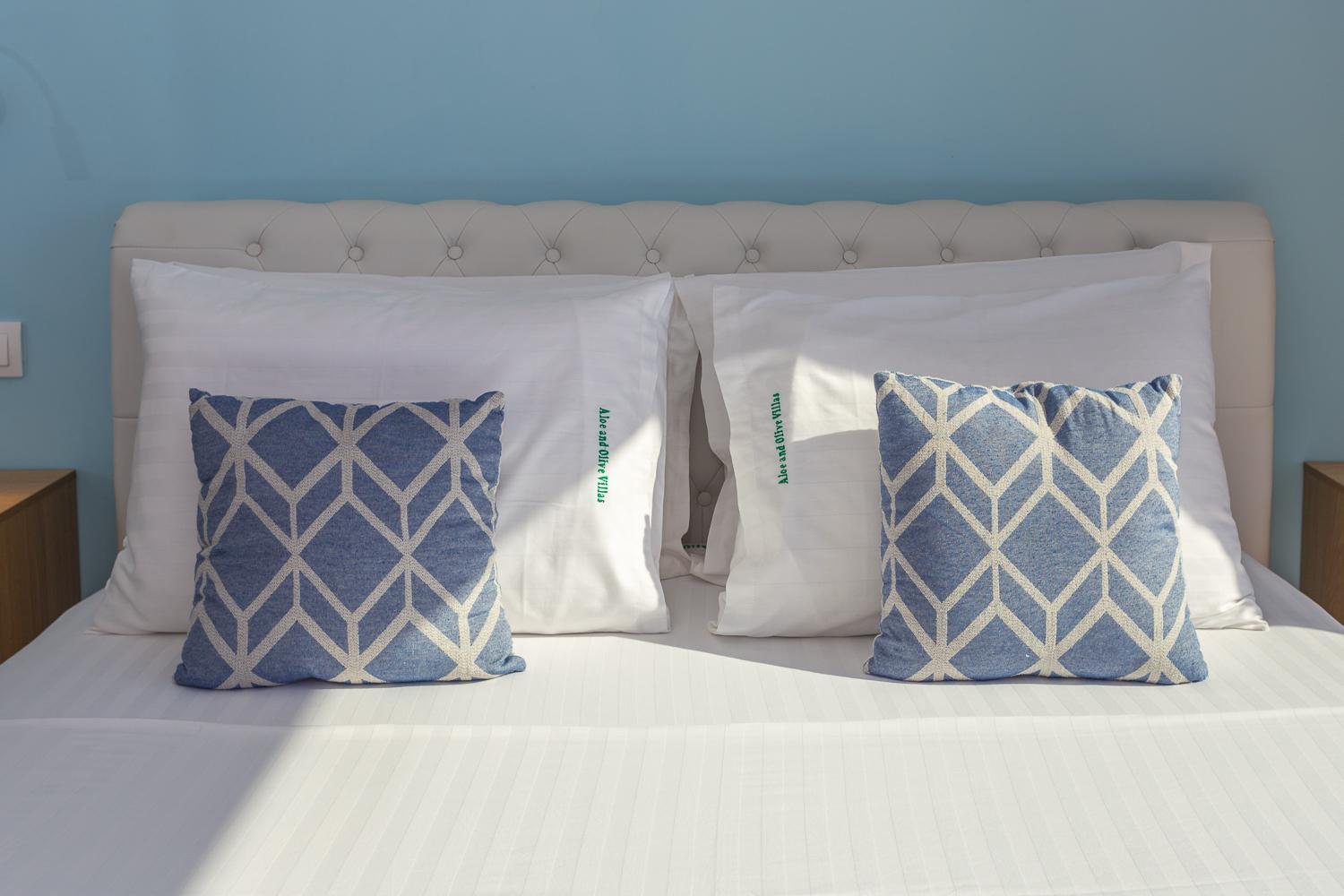Olive And Aloe Villas Nomikianá Екстериор снимка
